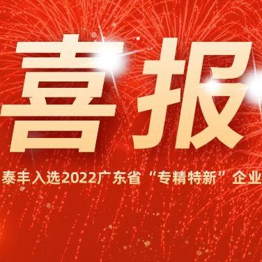 热烈祝贺泰丰空调入选2022广东省“专精特新”企业！